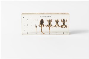 Image description is not available for 2018.5.2